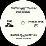 The Big Maybe : Some Things Never Change (7", Single)