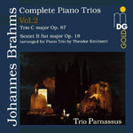 the album cover for J. BRAHMS - Complete Piano Trios 2