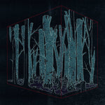 Name Sayers : Mantles (LP, Album)