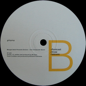 Morgan Geist : Environ (Into A Separate Space) (2xLP, Comp)