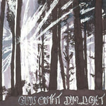 the album cover for Gun Outfit - Dim Light