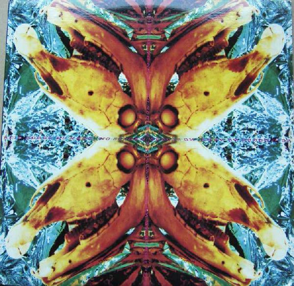 Acid Horse : No Name, No Slogan (12", Single, RE)