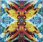 Acid Horse : No Name, No Slogan (12", Single, RE)