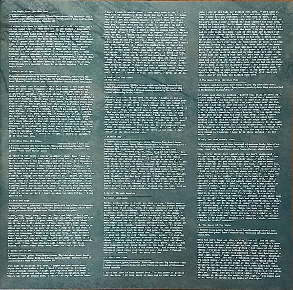 Steve Forbert : The Magic Tree (LP, Album, Blu)