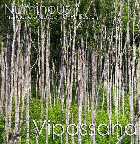 the album cover for Numinous - Vipassana