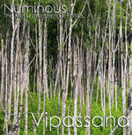 the album cover for Numinous - Vipassana
