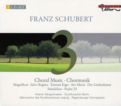 the album cover for Dietrich Knothe - Choral Music