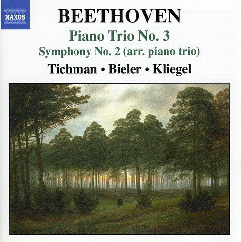 the album cover for Xyrion Trio - Piano Trio No 3 / Symphony No 2