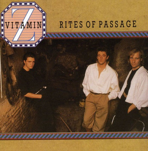 the album cover for Vitamin Z - Rites of Passage