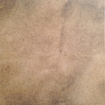 Neil Young : Living With War (LP, Album, 200)