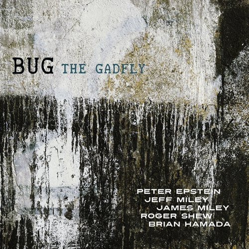the album cover for Epstein/Shepik/Kilmer - The Gadfly