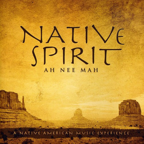 the album cover for David Arkenstone - Native Spirit