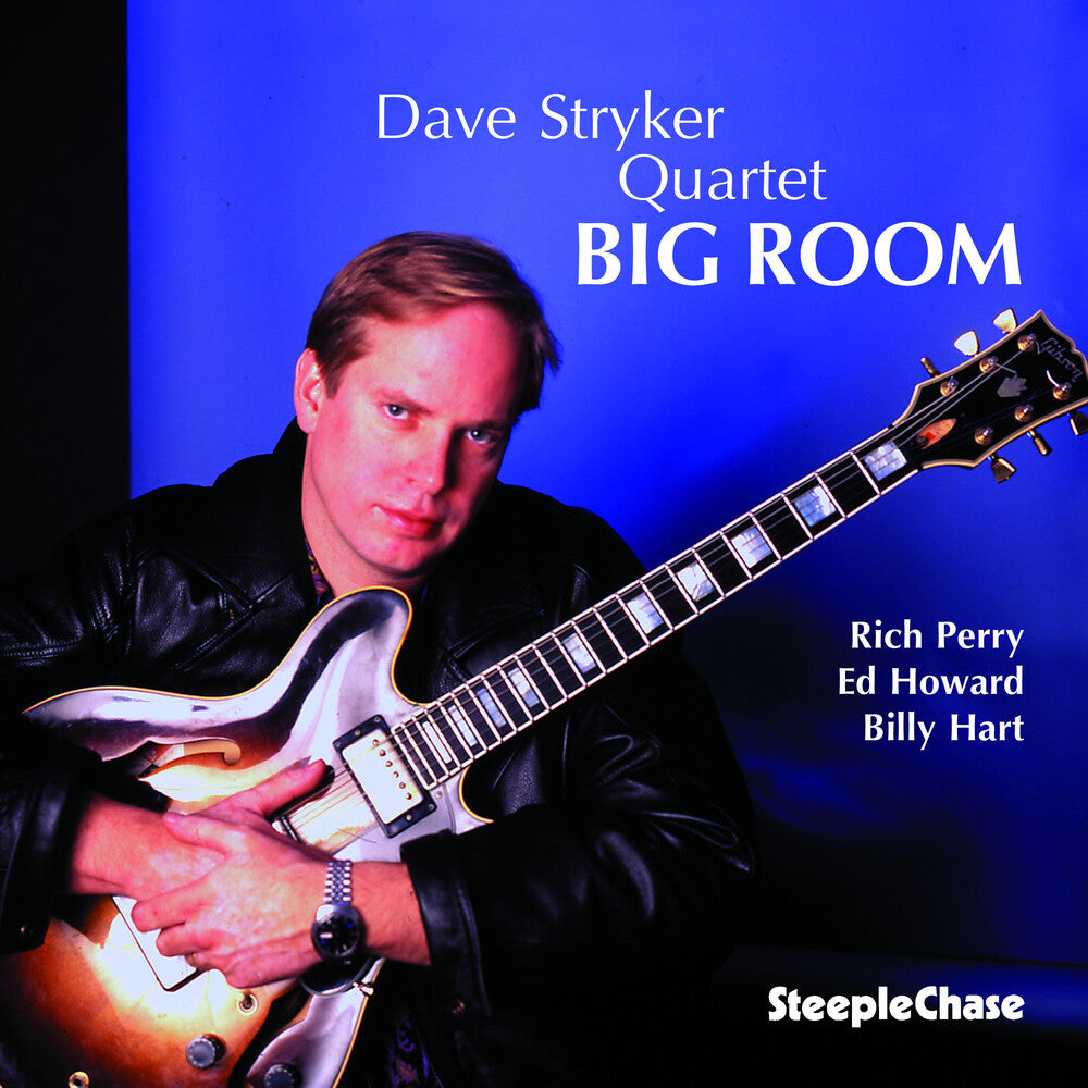 the album cover for Dave Stryker - Big Room