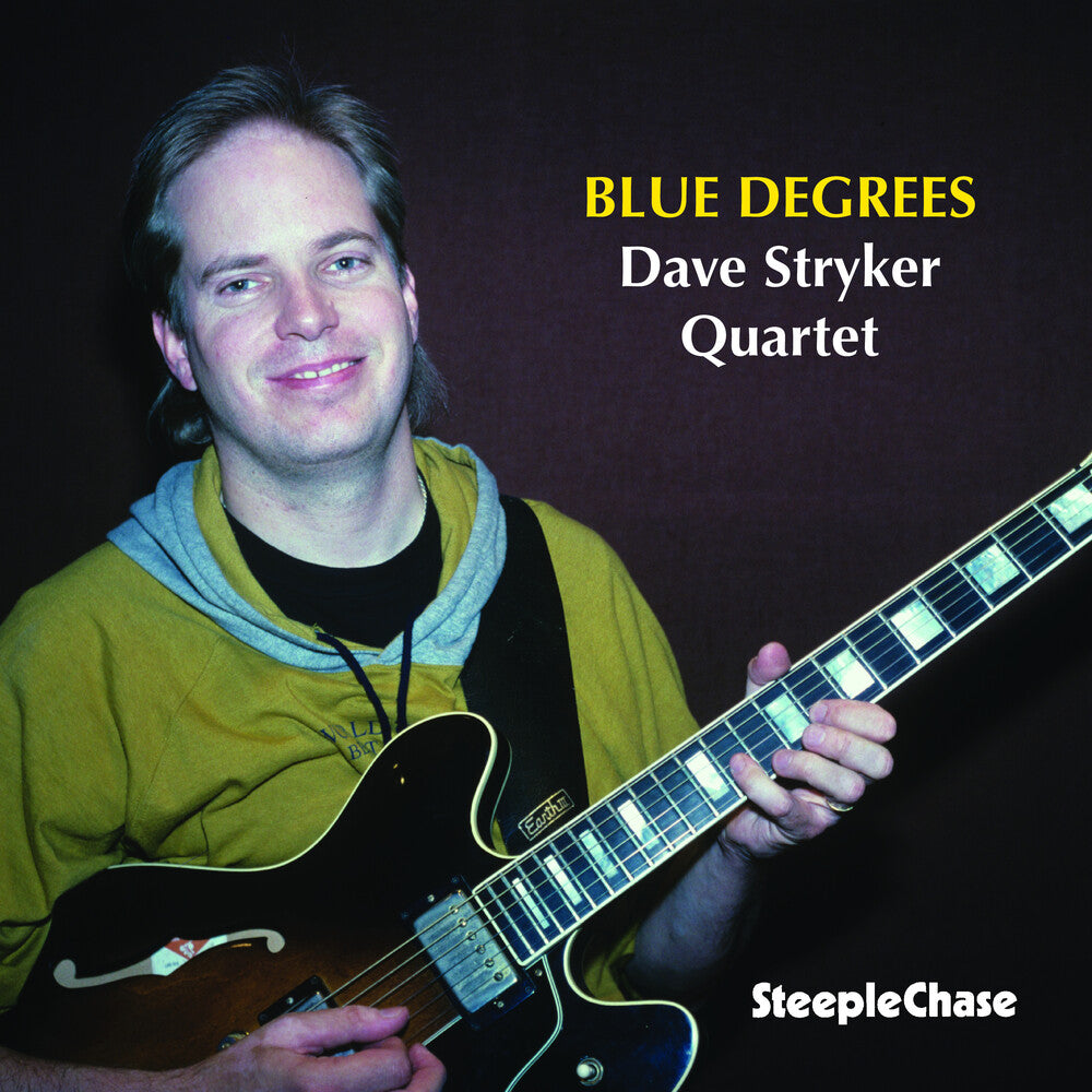 the album cover for Dave Stryker - Blue Degrees