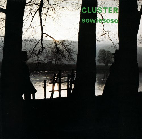 the album cover for Cluster - Sowiesoso
