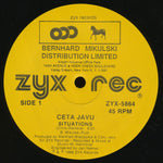 Cetu Javu : Situations (12", Single)