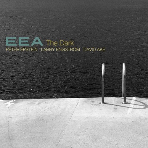 the album cover for Eea - Dark