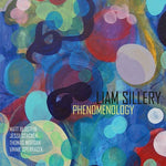 the album cover for Liam Sillery - Phenomenology