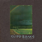 Clipd Beaks - To Realize (Vinyl)