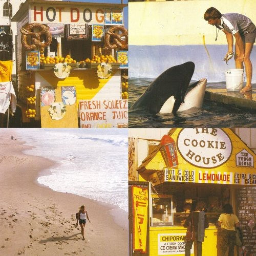 Best Coast - Something in the Way (Vinilo)