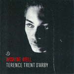 Terence Trent D'Arby : Wishing Well (CD, Single, Promo)