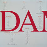 Kendrick Lamar : Damn. (2xLP, Album, Ltd, RE, RP, Gre)
