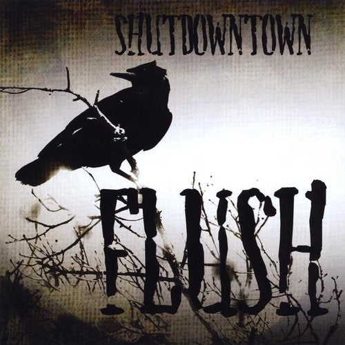 the album cover for Shut Down Town - Flush