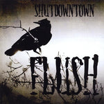 the album cover for Shut Down Town - Flush