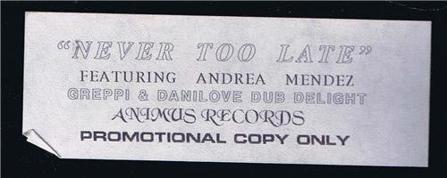 Universe Of Love featuring Andrea Mendez : Never Too Late (12", Promo)
