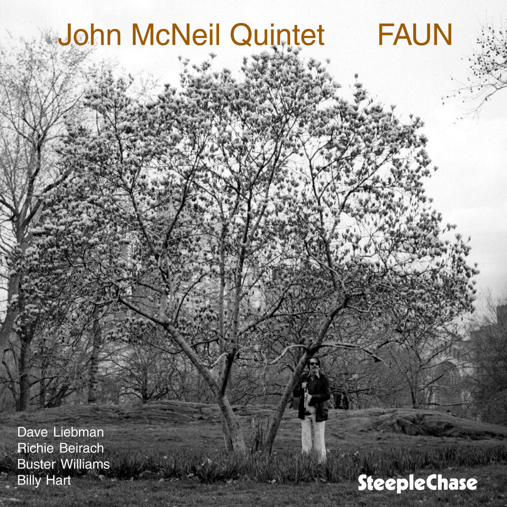 the album cover for Kenny Berger/McNeil & Berger/John McNeil (Trumpet) - Faun