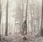 Taylor Swift : Folklore (2xLP, Album, Dlx, Ltd, Azu)