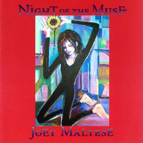 the album cover for Joey Maltese - Night of the Muse