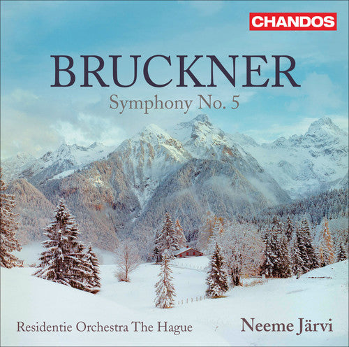 the album cover for Neeme Järvi - Symphony No 5