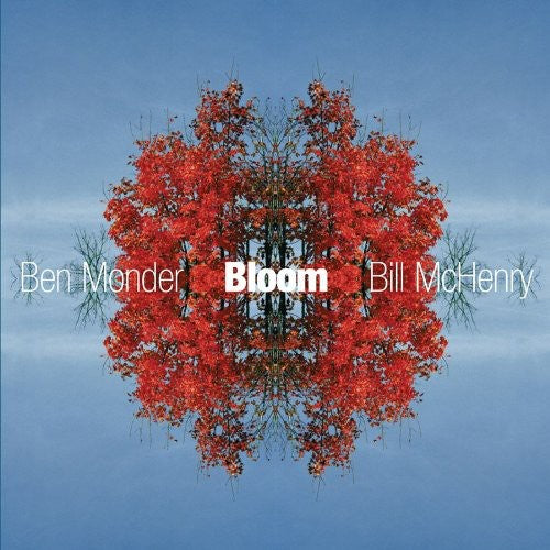 the album cover for Ben Monder Trio - Bloom