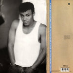 Narada Michael Walden : Divine Emotions (12", Single)