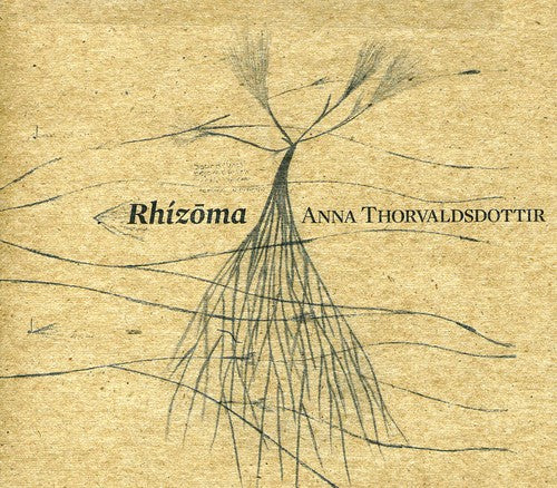 Caput Ensemble - Rhizoma (CD)