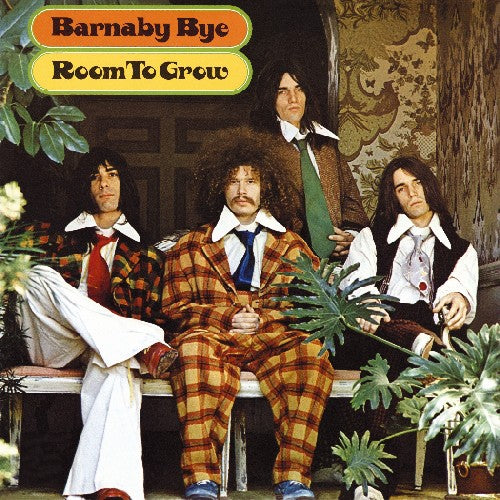 the album cover for Barnaby Bye - Room to Grow