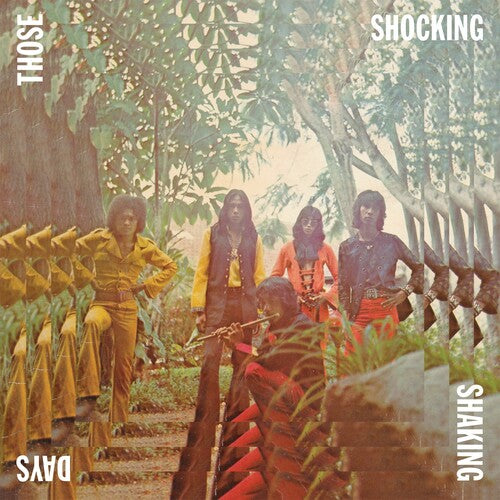 Various Artists - Those Shocking Shaking Days (Vinyl)