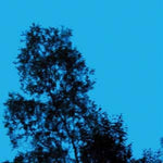 Gate - A Republic Of Sadness (Vinyl)