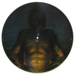 Tool (2) : Cesaro Summability (12", Ltd, Pic, Promo)