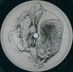 Nocturnal Emissions : Stoneface (LP, Album)