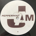 2Indigo* : Sing It - Shout It (12")