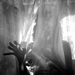 the album cover for Abe Vigoda - Crush