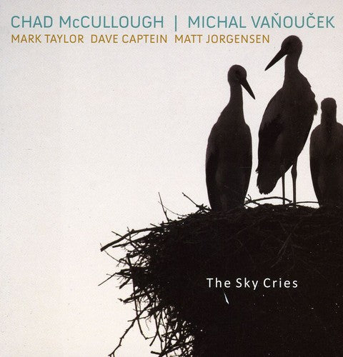 the album cover for Chad Mccullough & Michal Vanoucek - Sky Cries