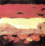 the album cover for Wolf People - Steeple