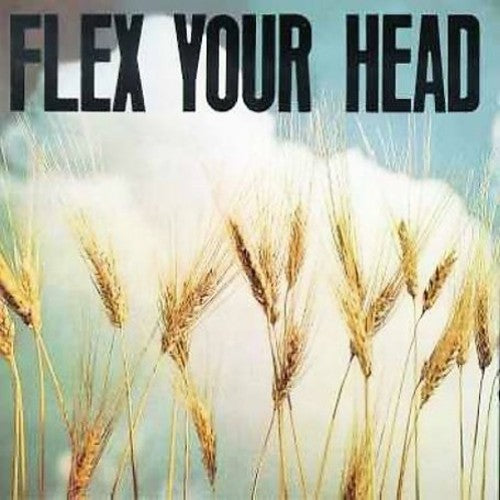 Varios artistas - Flex Your Head (Vinilo)