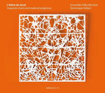 Dominique Vellard - L'arbre de Jesse: Gregorian Chant & Medieval Poly (CD)