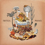Tristeza - Paisajes (Vinyl)
