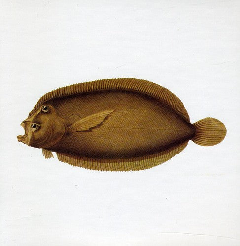 Blue Water White Death - Blue Water White Death (CD)