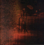 the album cover for Farsot - Iiii